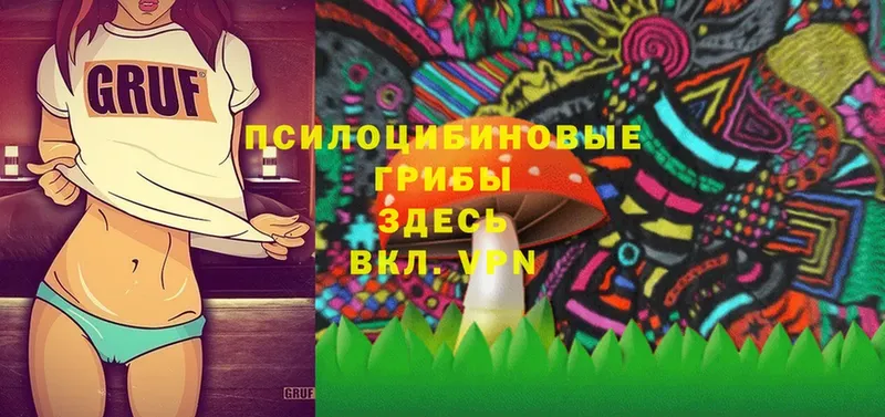 Псилоцибиновые грибы MAGIC MUSHROOMS  Вельск 